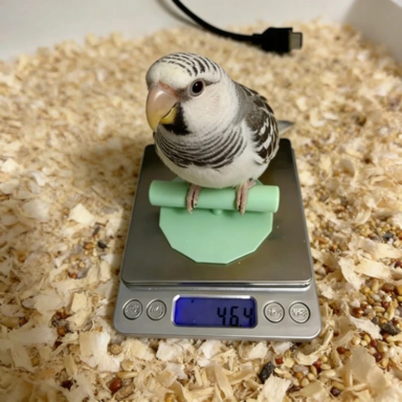 Bird Perch for Digital Scale Parrot Weighing Stand Accessory Small  Parrot Weight Monitor Tool For Budgie Cockatiel Supplies