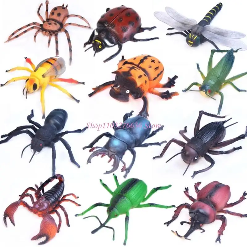 R6FD Realistic Insect Figures For Teaching Animal Anatomy Classroom Demonstration Toy