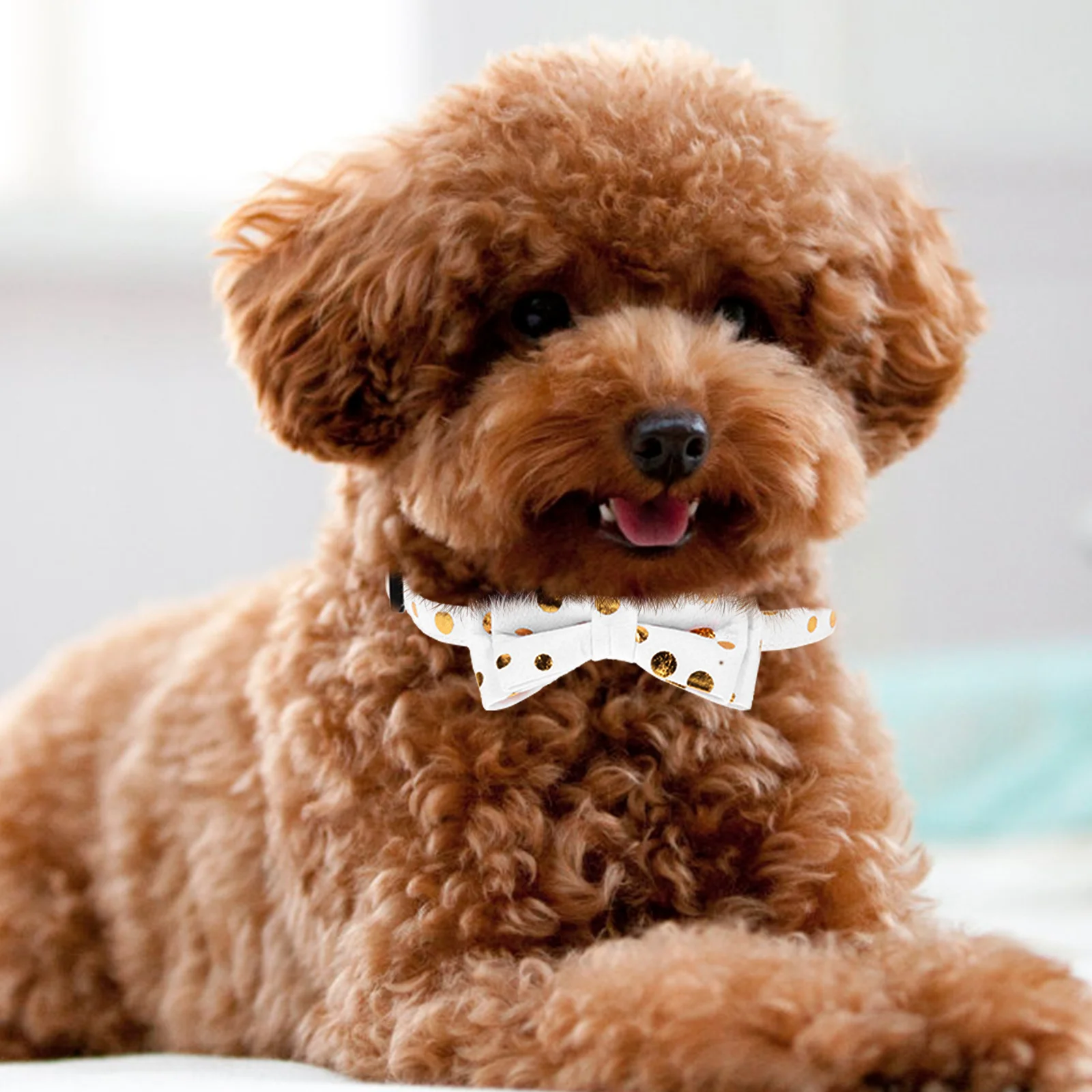 

Butterfly Bow Cat Collar Adjustable Cotton Polyester Neck Decor Kitten Party Bell Shaped Pet Accessory Christmas Style