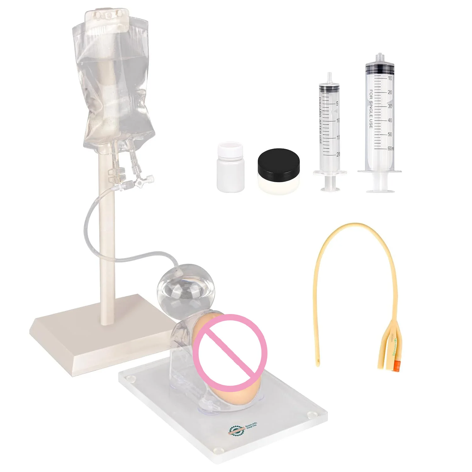 Simulation Female Urinary Catheterization Insertion Trainer Model Urinary Catheter Anatomy Model for Medical Student Practice