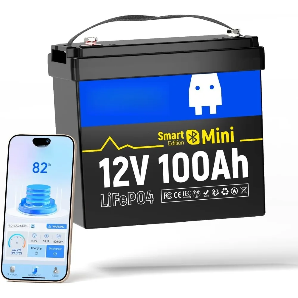 12V 100Ah Lifepo4 L…