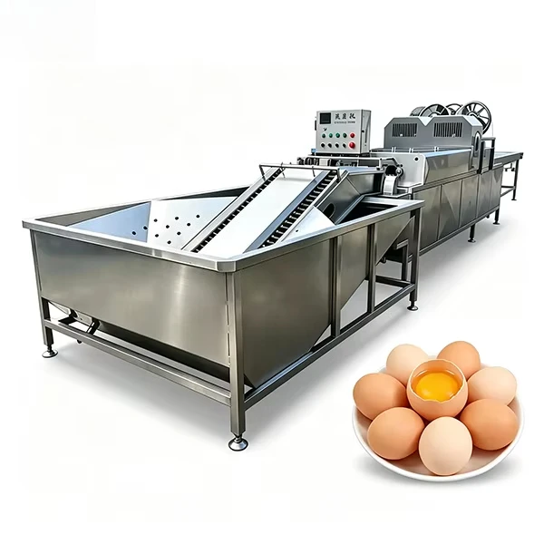 FOODLINE Continuous Conveyor Egg Washer Machine Wear‑resistant Parts For High Output Egg Production Plant
