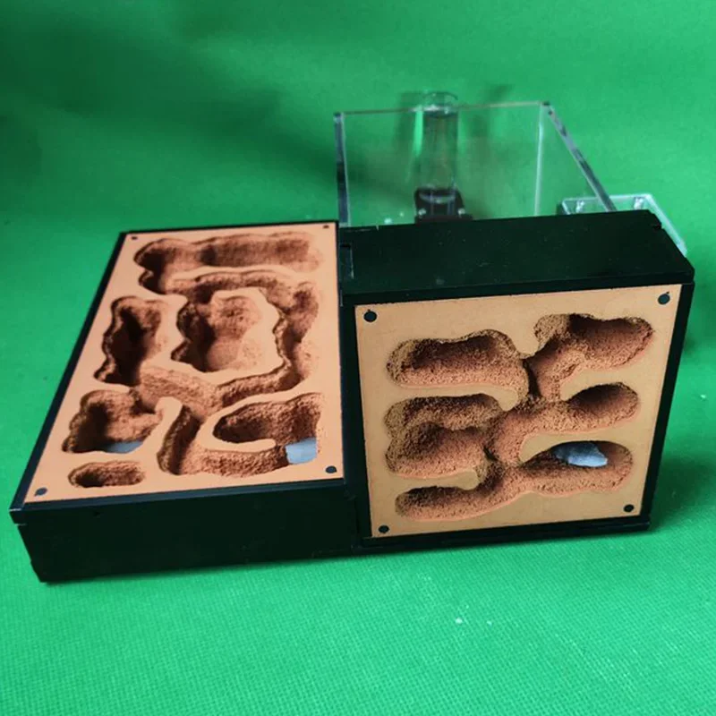 Acrylic Large Ant Farm Ecological Plaster Ant Nest Big Ant Kennel Pet Anthill Workshop with Ant Arena Ant House Villa Insect Box