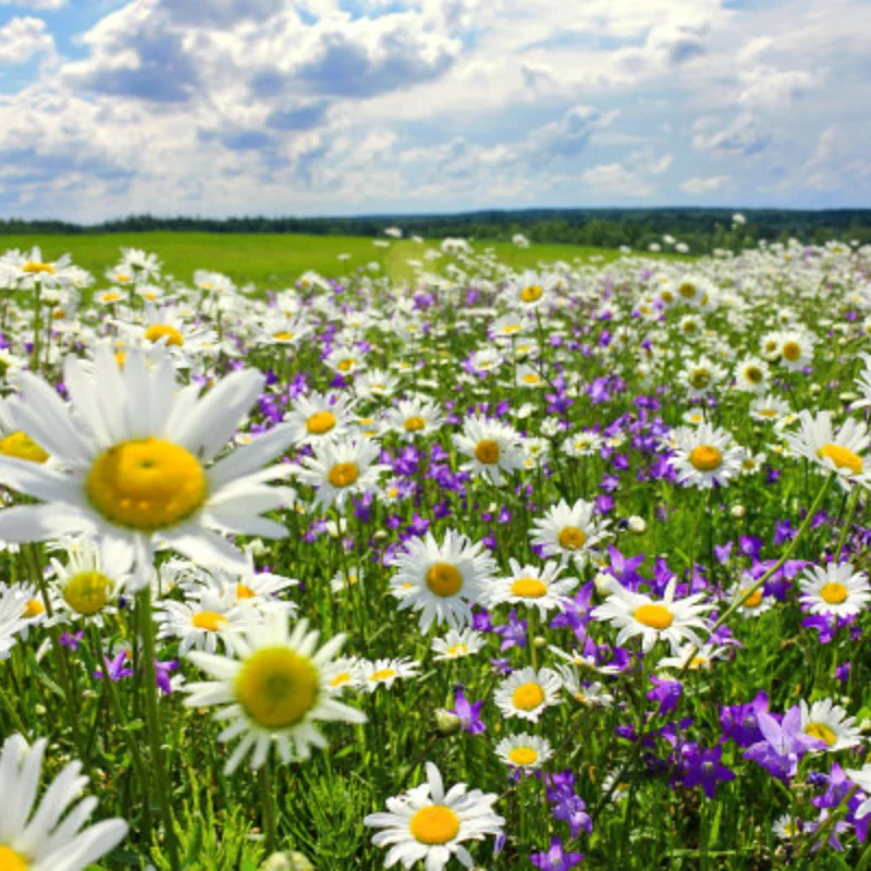 

8594 Aluminum Alloy Upgrade Steering Group for ZD Racing MT8/ 9021/ 9020/9116/ EX-07/DBX-07 Rc Cars Parts