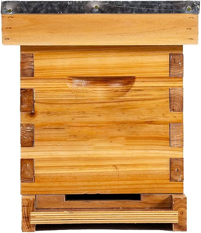 Automatic Feed 5 Frame Bee Hive Nuc Box Coated with 100% Beeswax Includes Beehive Frames and Waxed Foundations