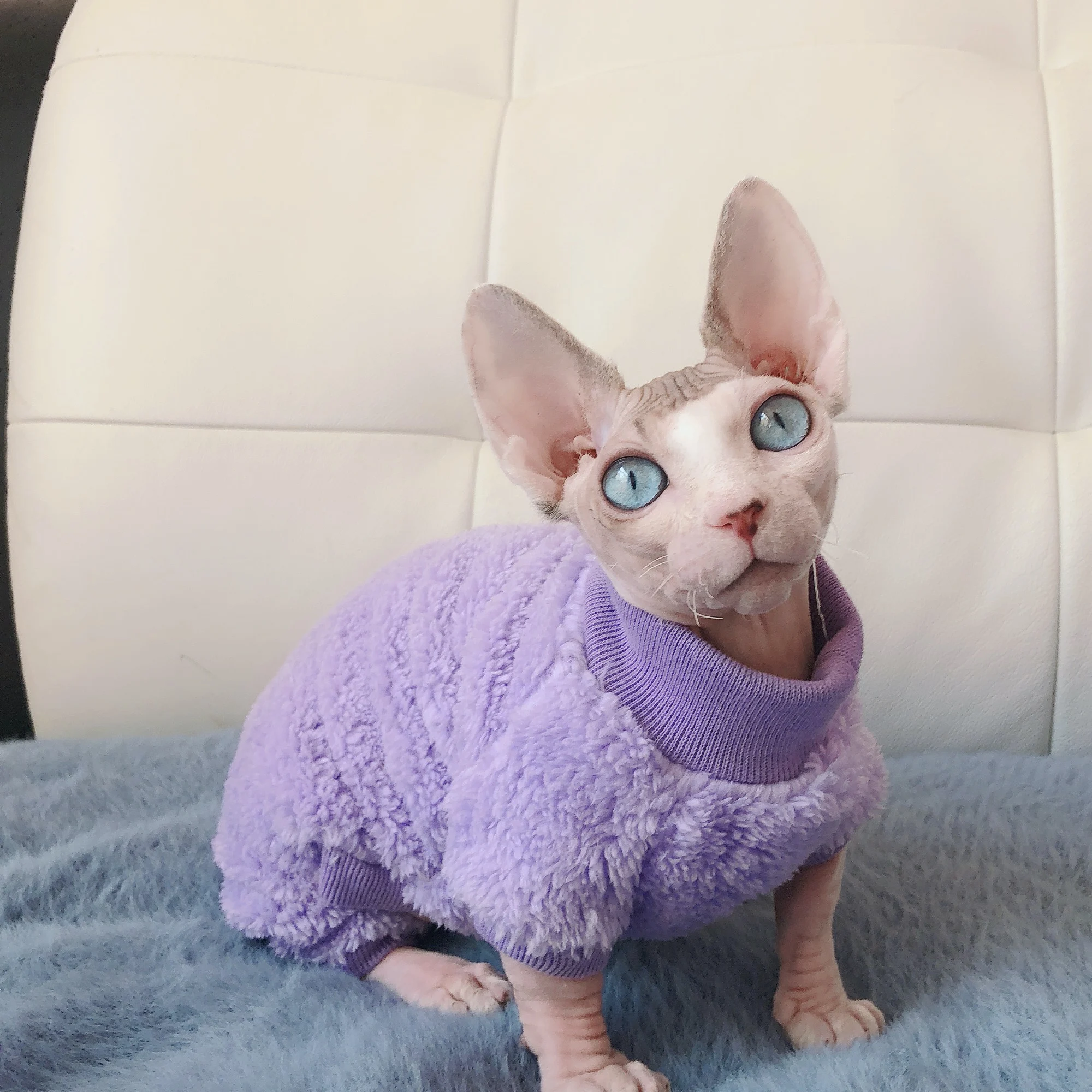 Winter Warm Undershirt for Sphynx Cat Elegant Purple High Neck T-shirt for Kittens Soft Long Sleeve Coat for Devon Rex Clothing