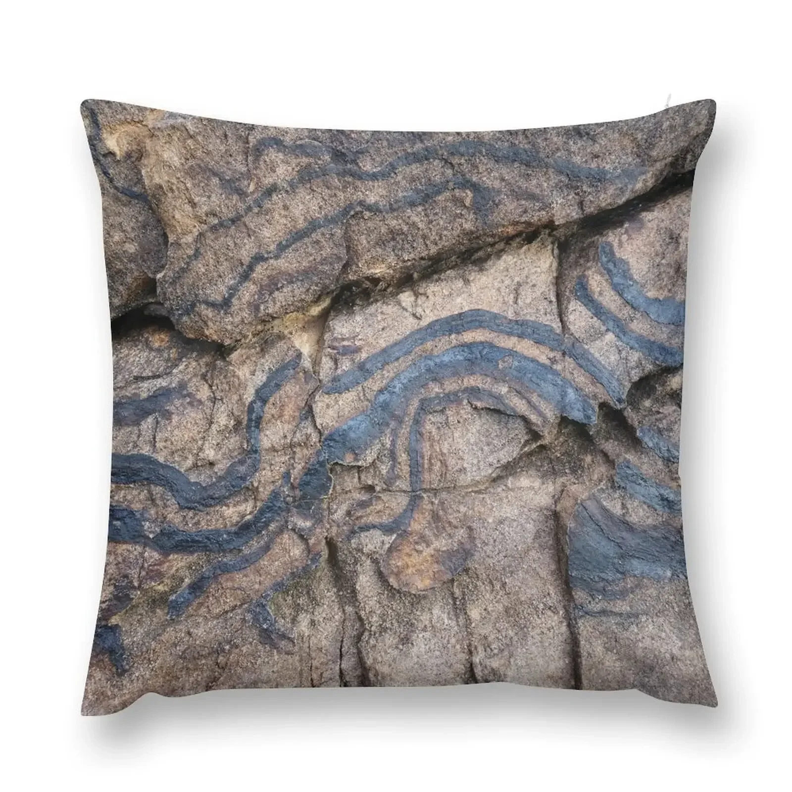 Altered Time: Layers of Reality Throw Pillow Custom Cushion Photo christmas pillow case pillow