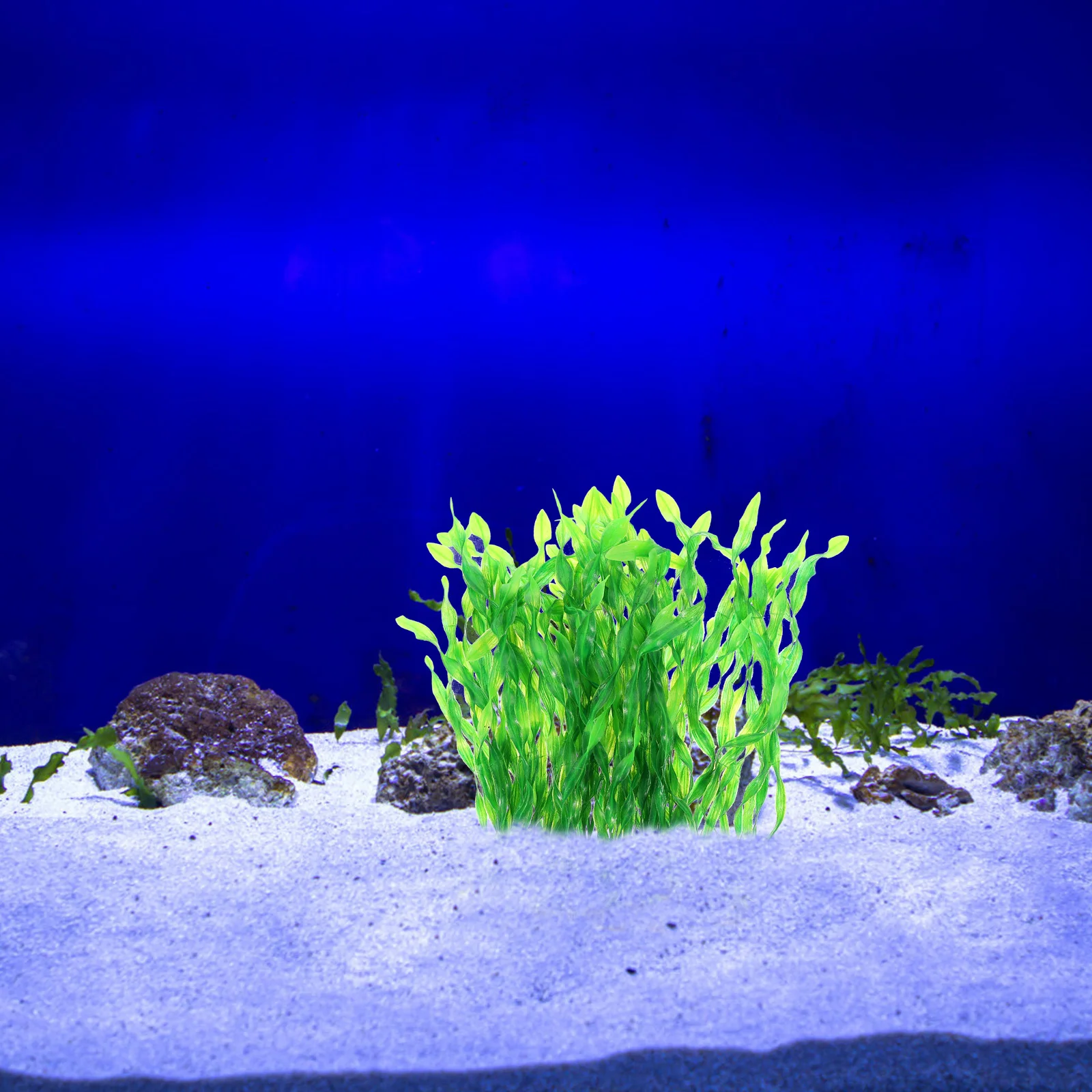

10 Pcs Fish Tank Decorations Aquarium Decors Plants Small Artificial Water Resin