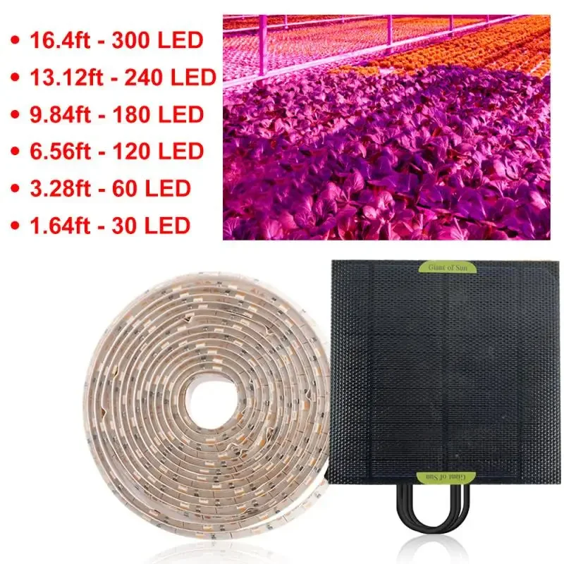 Imagem -03 - Led Painel Solar Led Crescer Espectro Completo de Luz 5v Crescer Luz Tira Phyto Lâmpadas para Plantas Estufa Hidropônico Crescente 20w 2835