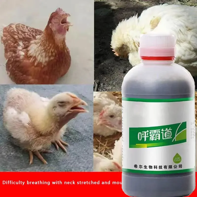 Poultry Oral Liquid, Duck Goose Chicken Cough Asthma Phlegm Alleviation Asthma and Bronchitis Respiratory Medicine Farm