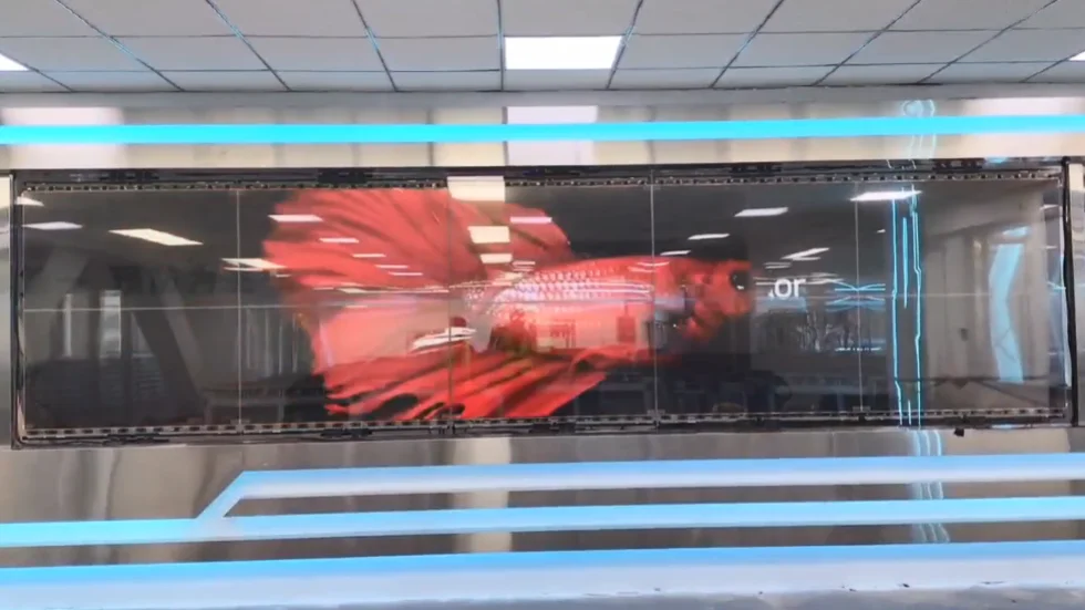 Display OLED trasparente ultrasottile da soffitto o in piedi per segnaletica digitale-display LED premium