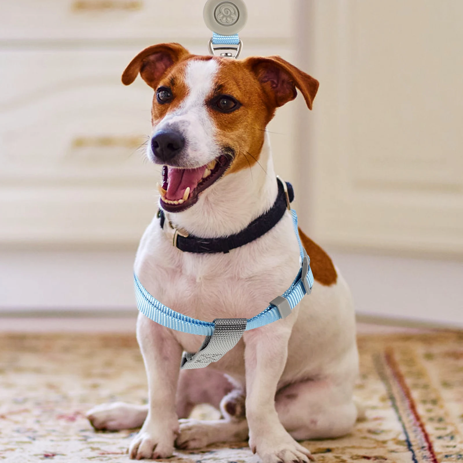 

1 Set Dog Harness Leash Adjustable Lightweight Small Dog Walking Running Outdoor Pet Harness Set For Puppy Training Escape Proof