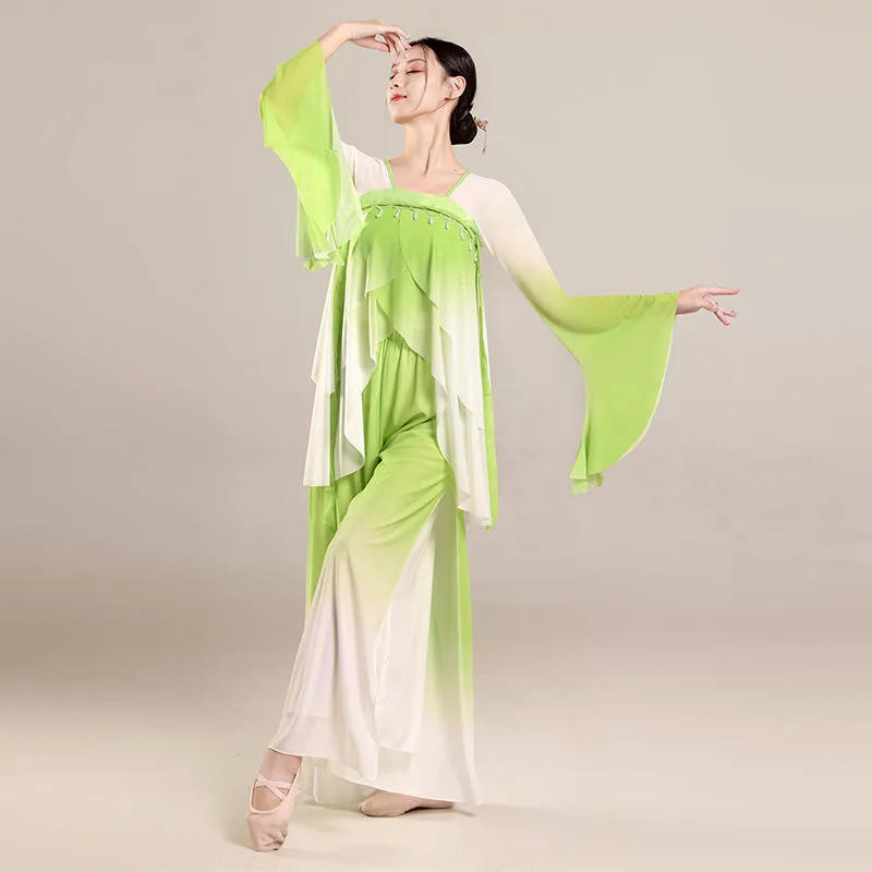 Classical Dance Practice Pants Women Gradient Double Layered Elegant Performance Cloth Straight Tube Chiffon Loose Leg Trousers