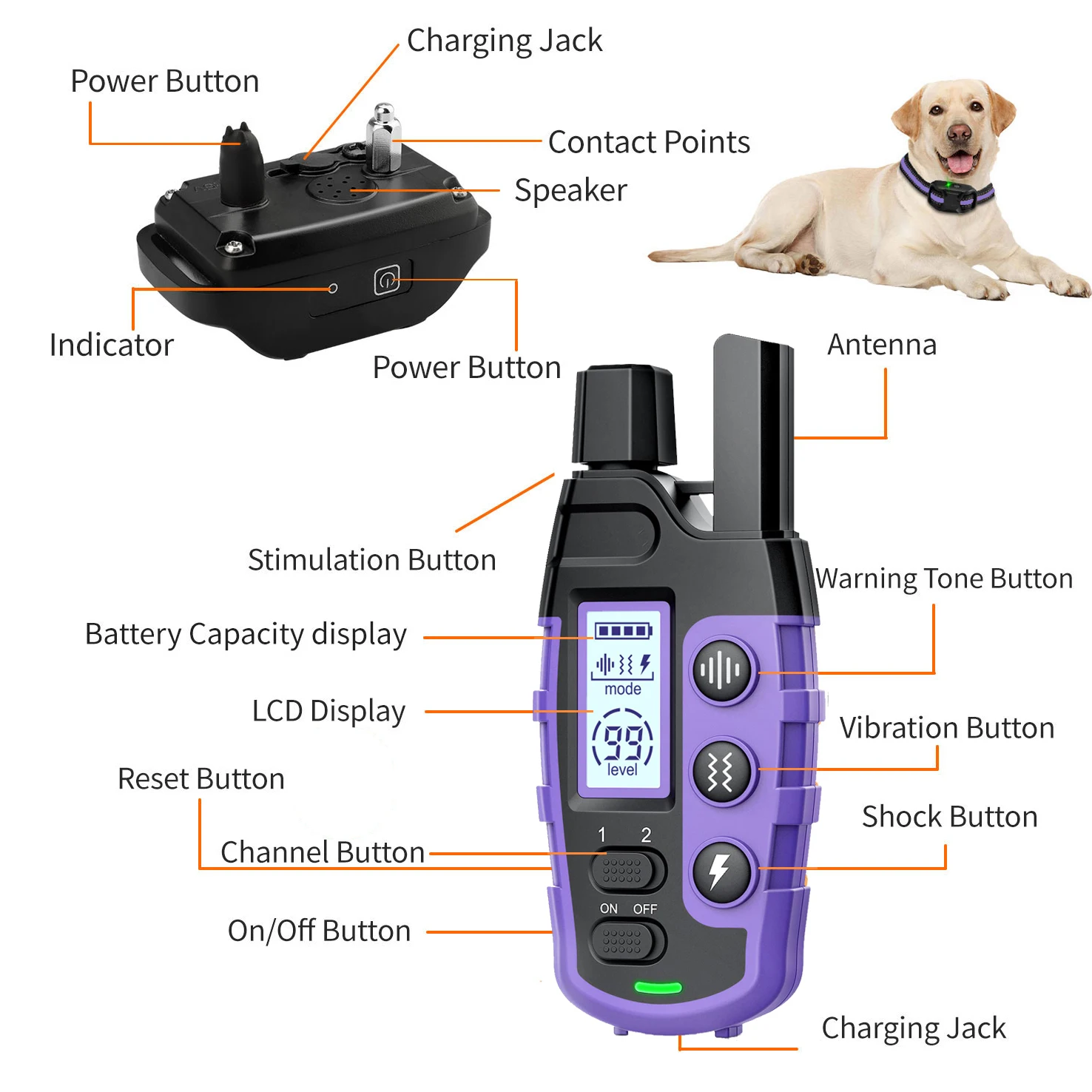 3300Ft Electric Dog Training Collar Remote Control Waterproof Pet BehaviorFor 5-120lbs Puppy With Vibration Shock Beep - view 6