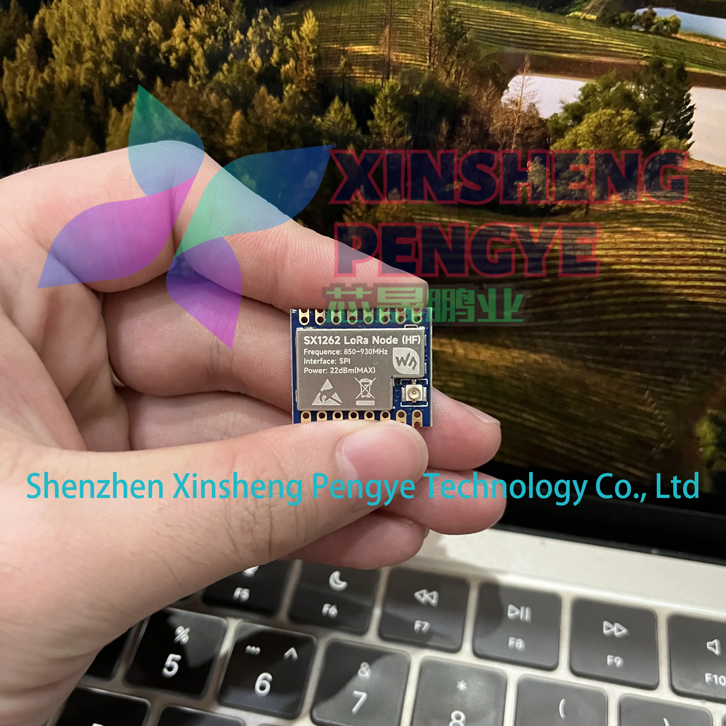 

100% New and Original Core1262-HF LoRa Module Remote Communication SX1262 Anti-Interference LoRa Chip Module For Sub-GHz Band