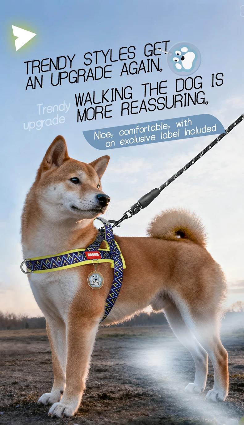 Kleines bis mittelgroßes Hundegeschirr im Sattelstil mit geometrischem Druck, modisches Outdoor-Geschirr zum Spazierengehen, kein Ziehen beim Training, schnelles Anziehen für Welpen und Haustiere – Detail 1