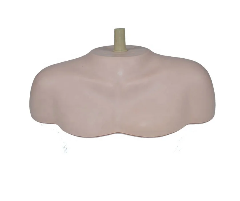 

Bust Shoulder for Training Practice Manikin Head Shoulder Human Hair Wigs Display Upper Body Model Cosmetology Mannequin Head