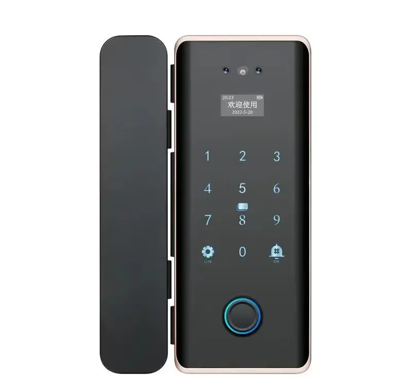 

2022 Newest Anti-theft Hook Mortise Smart Door Lock Face Recognition Glass With Remote Control