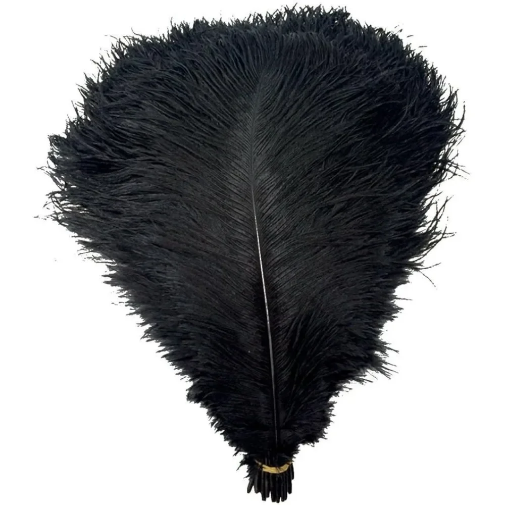 

Feathers ,Pack of 50pcs Natural Ostrich Feathers 12-14inch(30-35cm) for Home Wedding Party Decoration (Black),Craft Supplies