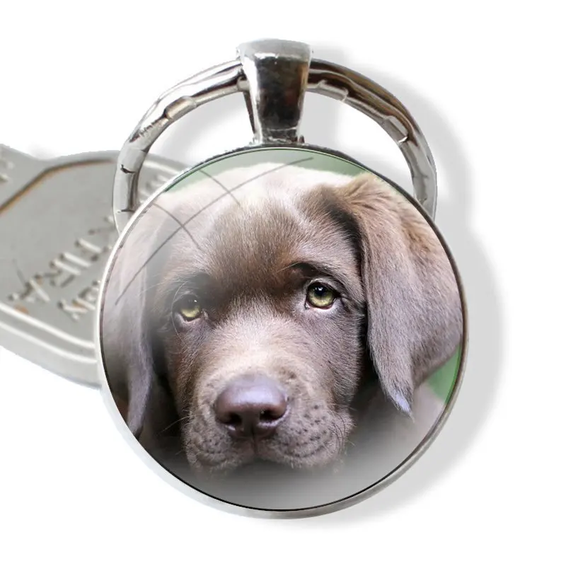 Lab Labrador puppy Dog Glass Metal Pendant Key Chain Classic Men Women Key Ring Accessories Jewelry Gifts