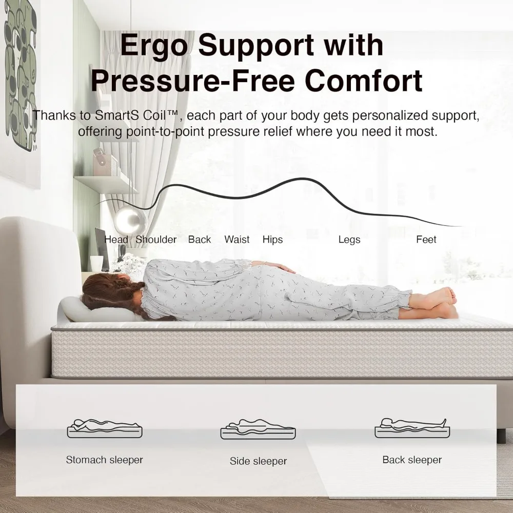 مرتبة مزدوجة مقاس 6 بوصات في صندوق مع Smarts ™ تقنية الملف لتخفيف الضغط ودعم الرغوة القطيفة المتوسطة #6