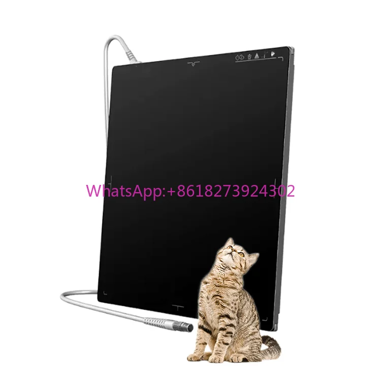 1417 /1717 High Resolution Veterinary Medical Equipment Wired Flat Panel Detector DR X Ray Radiography Machine for Human / Vet