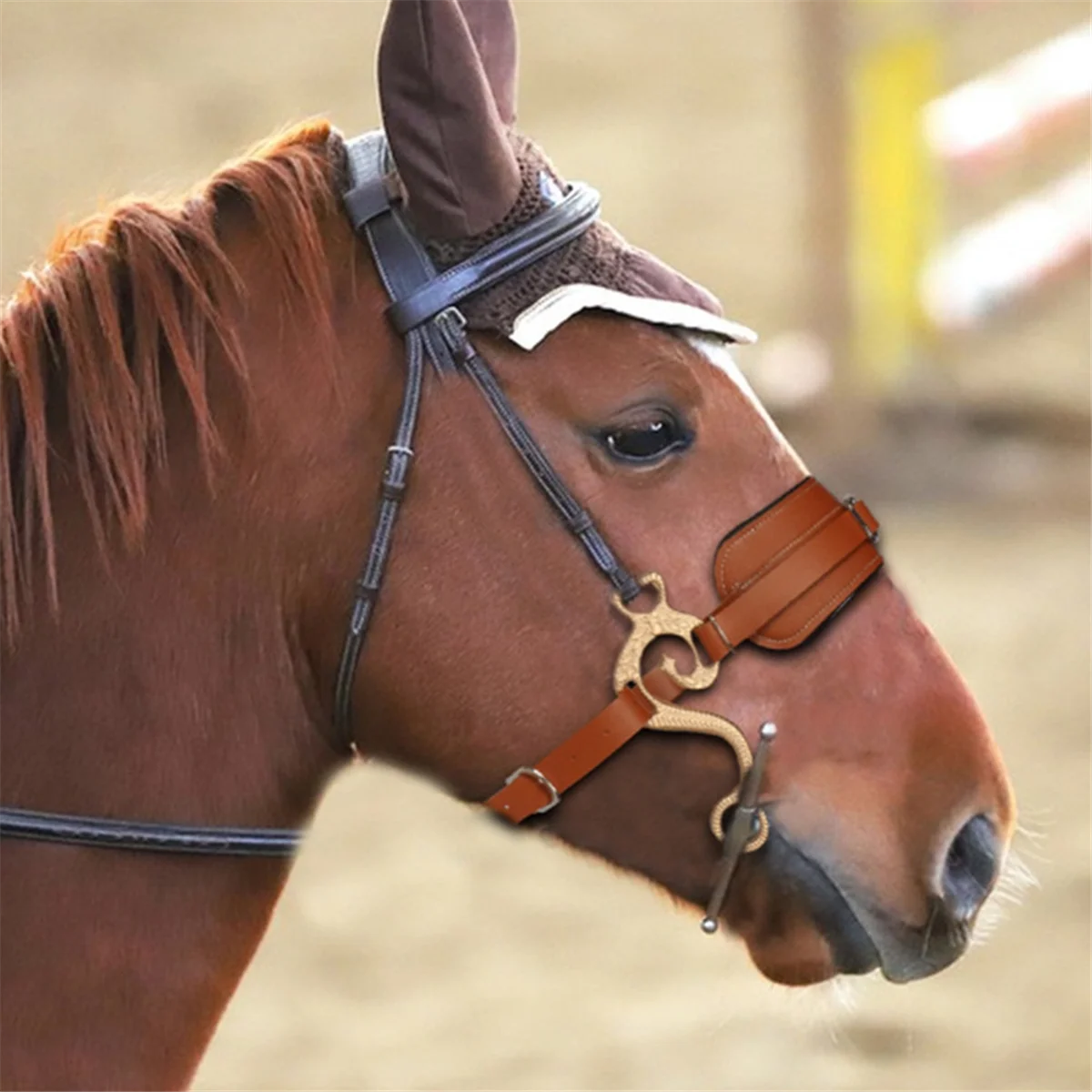 معدات ركوب الخيل والفروسية ، اللجام البني ، مبطن بالجلد ، الإنجليزية الغربية ، سلسلة كبح الأنف القابلة للتعديل ، بت