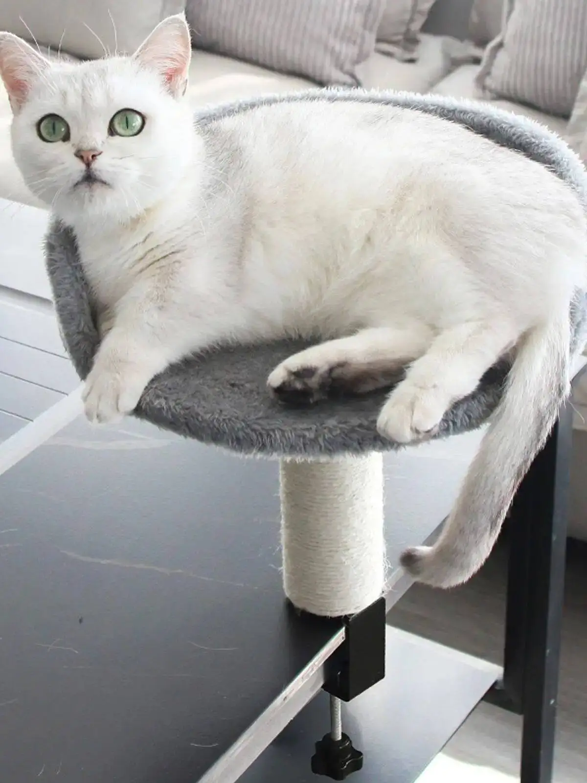 amaca-morbida-con-supporto-per-gatti-da-scrivania-o-letto-superficie-confortevole-per-riposo-sospeso-accessori-per-animali-domestici