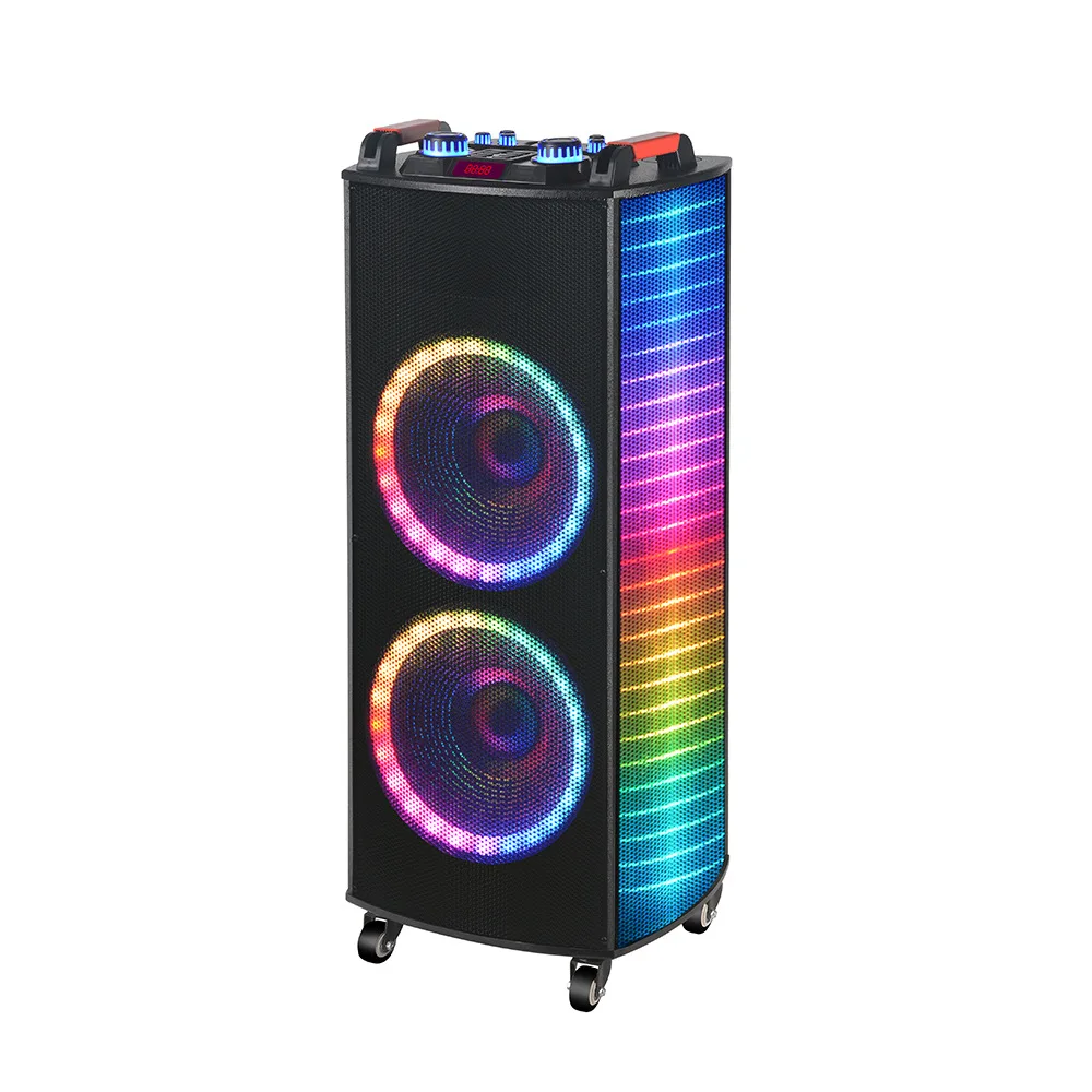 100W High-Power for Bluetooth Speaker RGB LED Super Bass Dual 12inch Speakers Dual Microphones Battery for Home Theatre