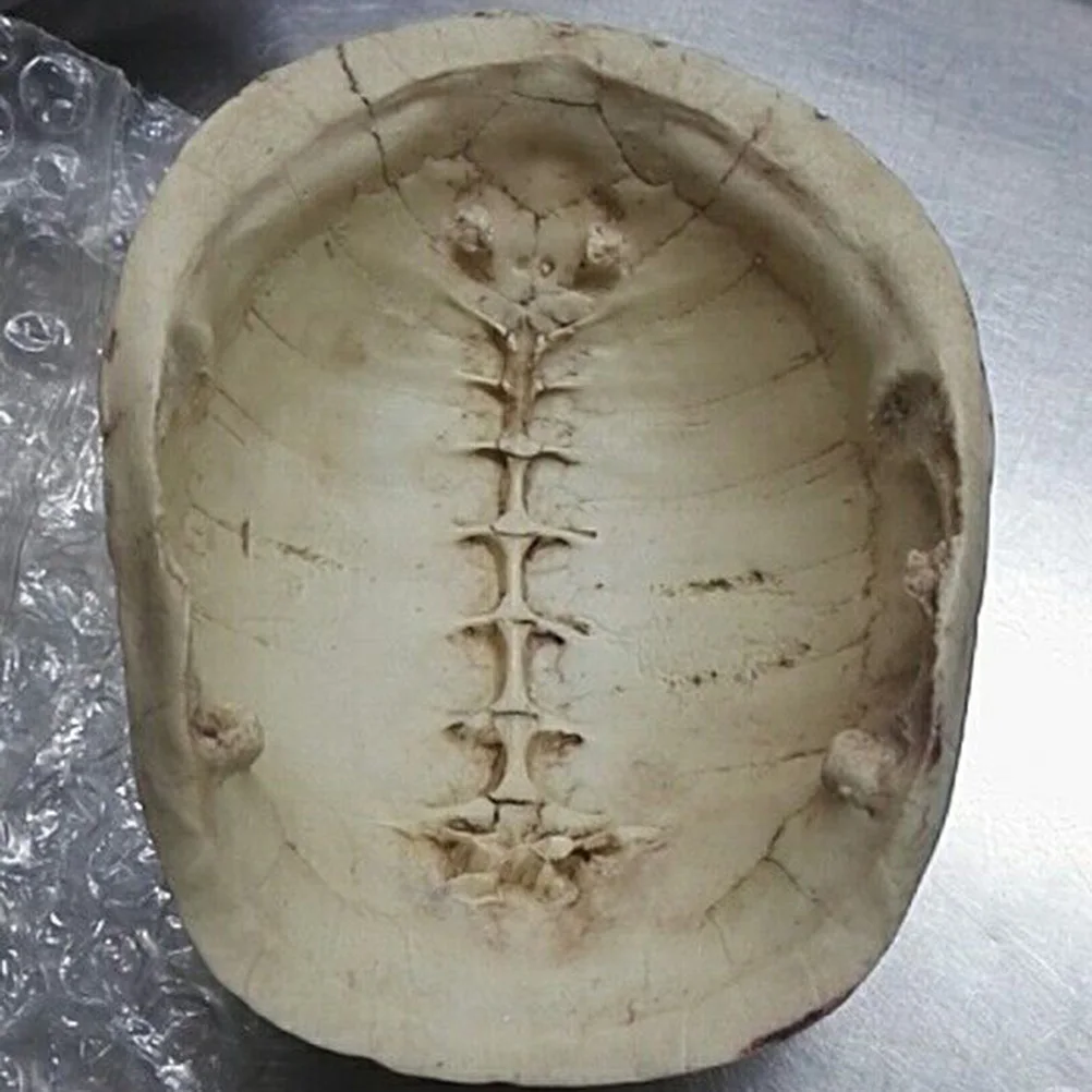

1Pcs Resin Turtle Shell Reptile Cave Durable Safe Natural Habitat Ornament for Pets Gift Reptile Cave Turtle Shell Resin