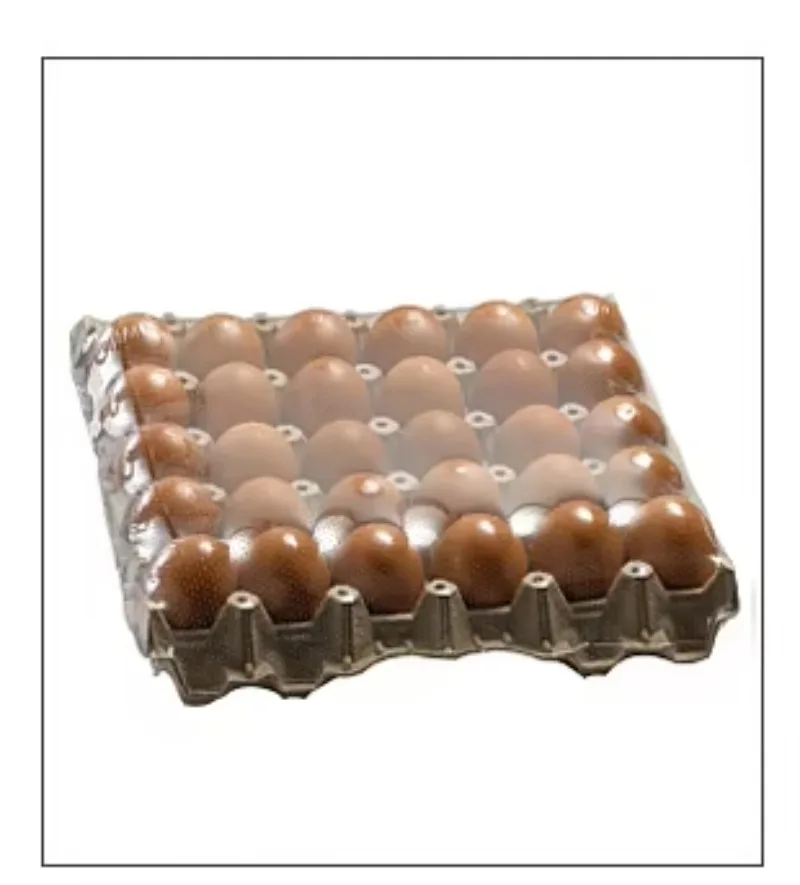 Customize Electric PLC-Controlled Motor Bearing Heat Shrink Tunnel Packing Machine for Food Beverage Packaging Energy Saving