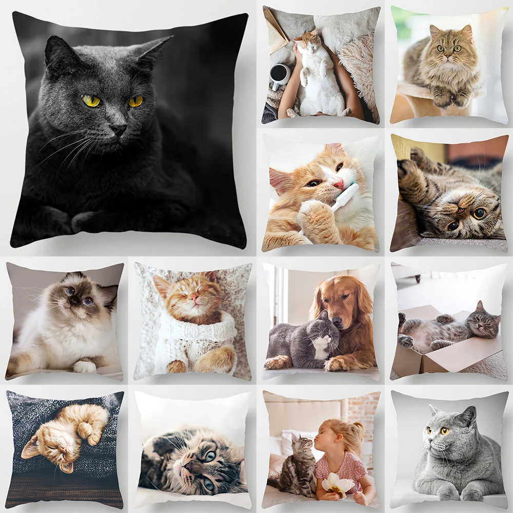 Cute Pet Cat Series Printed Pattern Cushion Cover for Home Living Room Sofa Office Decoration Square Pillow