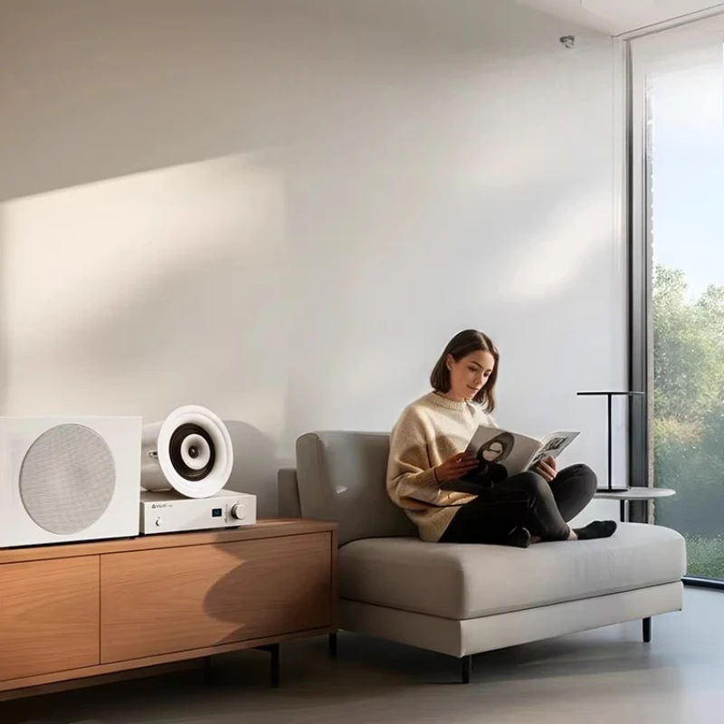 

Ceiling Audio Embedded Speakers Home Living Room Surround Home Cinema Ceiling Speakers