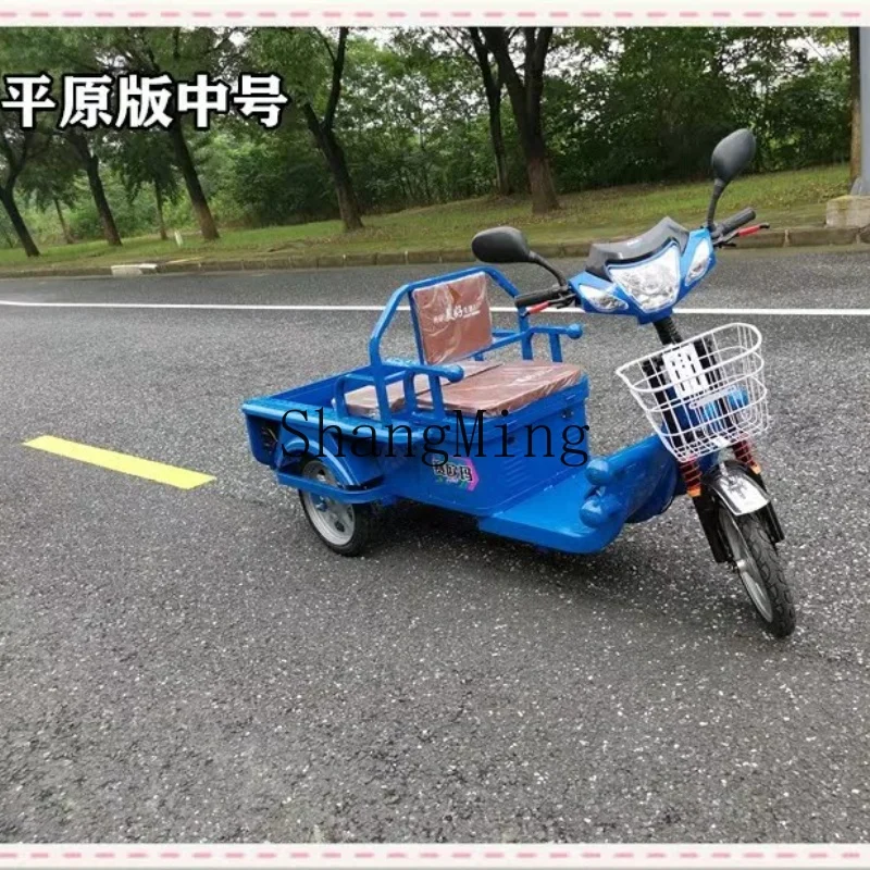 دراجة ثلاثية العجلات كهربائية CL للبالغين، شحن عائلي، كشك سيارة، بطارية مسطحة، نسخة جبلية، التقاط وإسقاط الأطفال