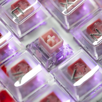 TTC Love Magneto Switch Pink RGB King of Magnetic Linear for Magnetic Mechanical Keyboard 35g 100/3.4m Custom E-sport Gaming Kit