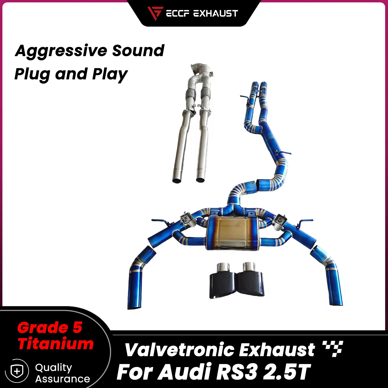 

TItanium Valved Catback Exhaust With Downpipe for Audi RS3 2.5T Unleash True Exhaust Performance