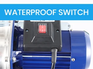 Shallow Well Pump