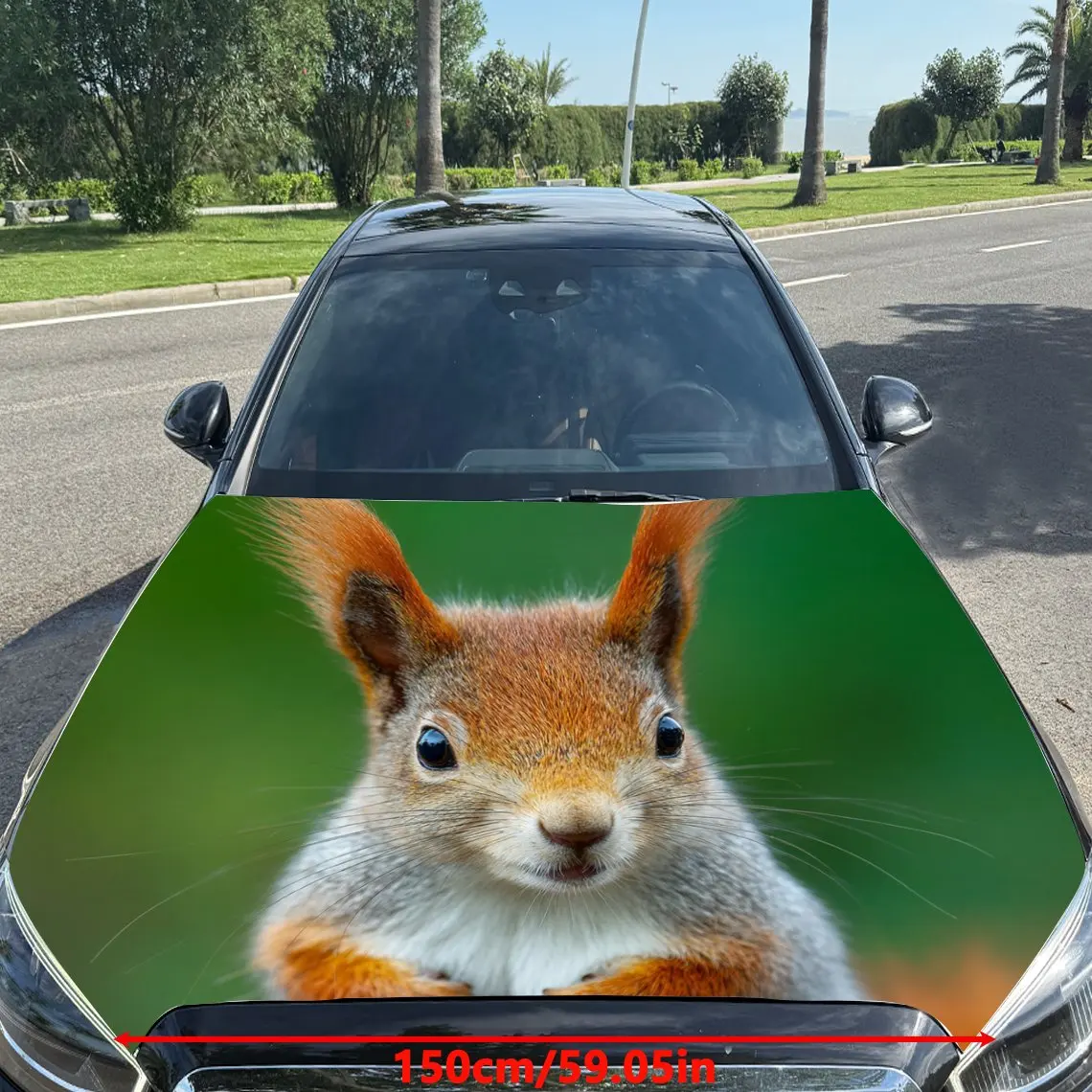 Car Decals Cute Squirrel with Alert Expression Car Hood Sticker, Waterproof Self - Adhesive Vinyl Graphics Decals, Decorative Pr