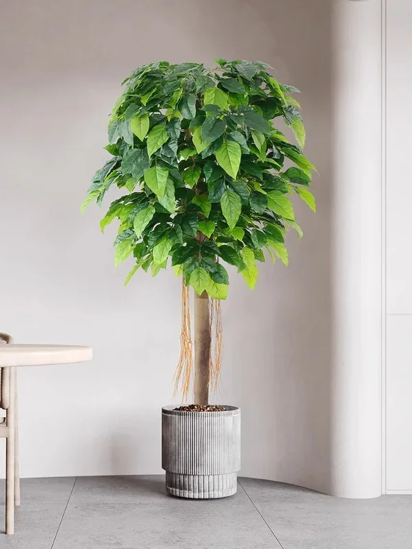 Large Green Plant Simulation Plant Happiness Tree Wealth Tree Living Room Floor False Indoor False Flowers