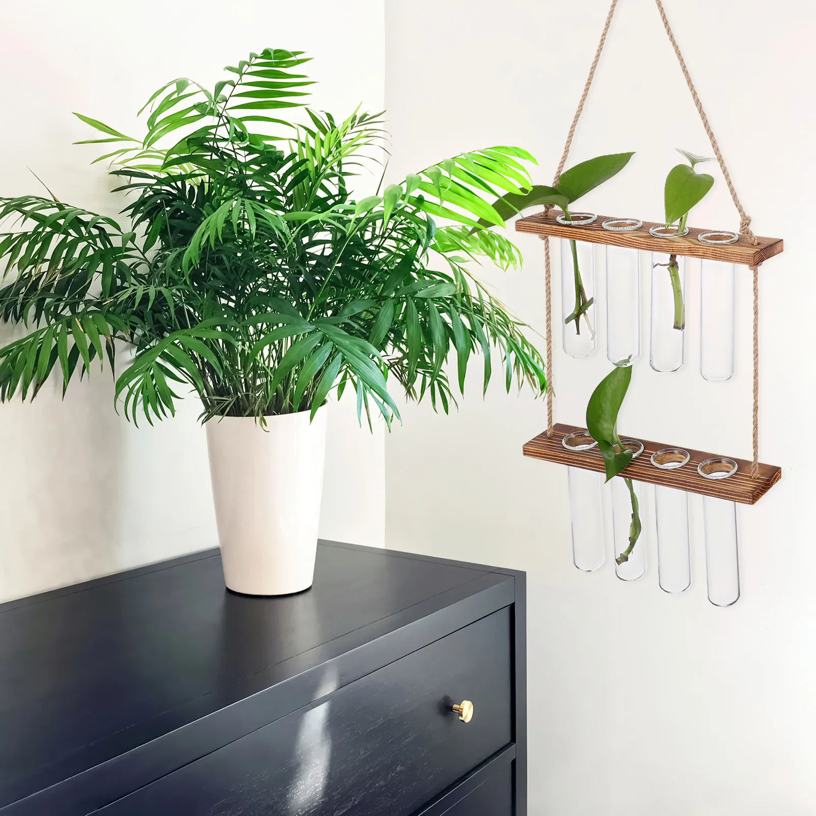 Hanging Propagation Station Glass Test Tube Vases Wooden Rack Cleaning Brush Plant Holder for Home Office Garden Decoration