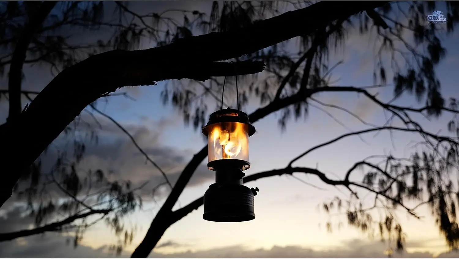 Fuel Lantern Shines up to 800 Lumens, 2-Mantle Lantern Uses Coleman Liquid Fuel or Gasoline with Adjustable Brightness