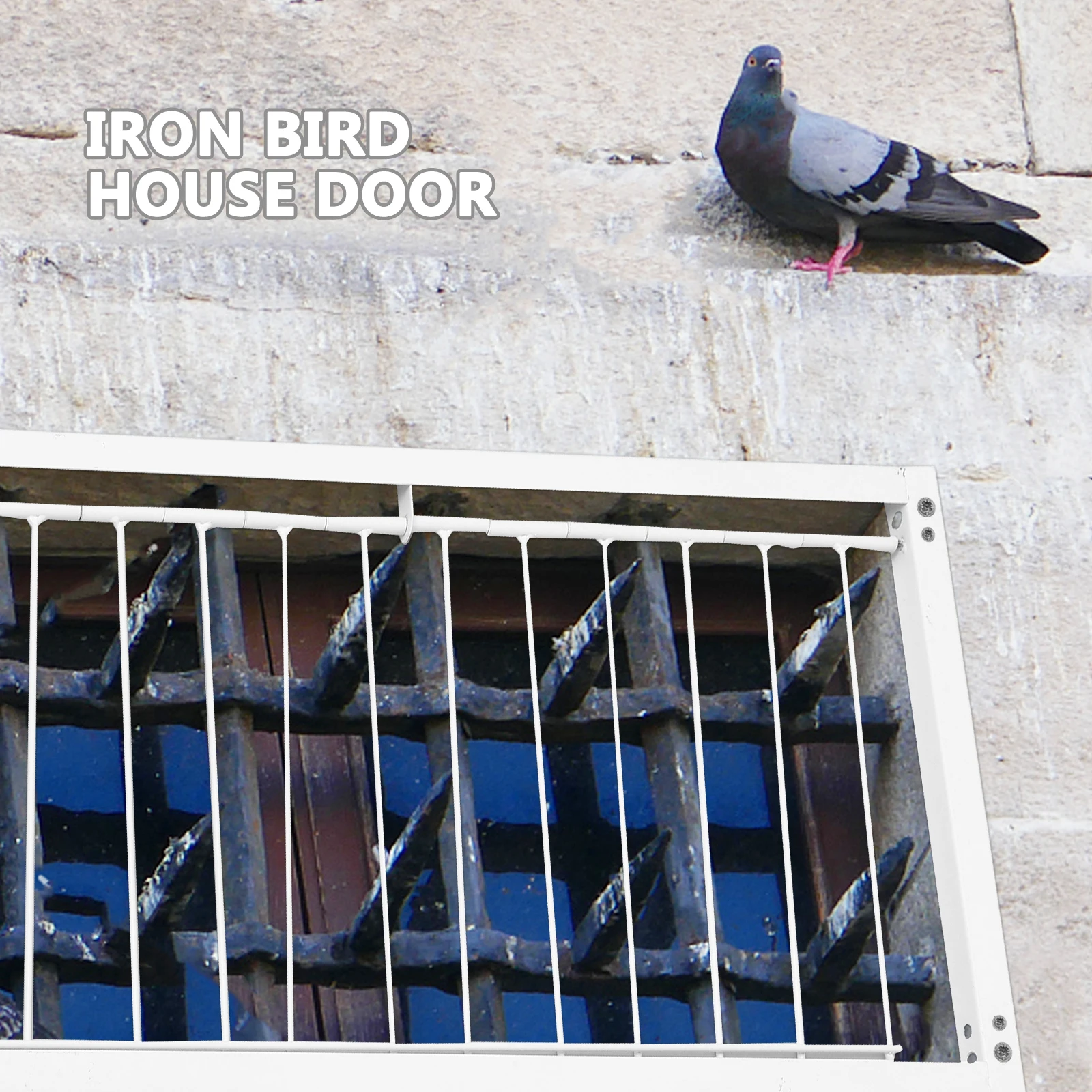 

Pigeon Jumping Cage Iron Trap Entrance House Supplies Racing Pigeon Bird Door Sturdy Reinforced Safe Easy for Racing