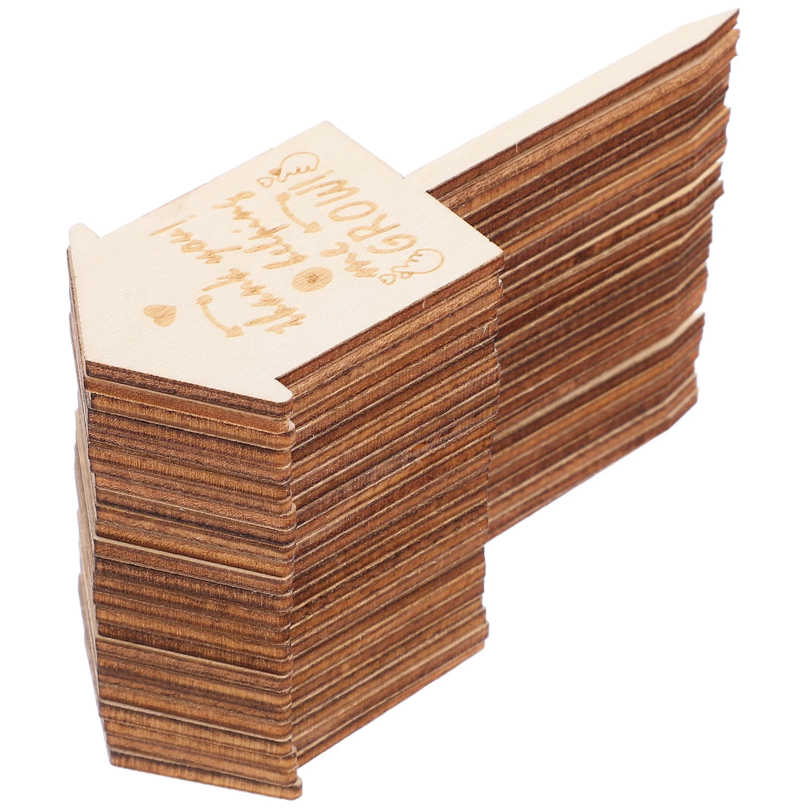 

25Pcs Bamboo Wooden Plant Tags Writable Garden Labels Thank You for Helping Me Grow Markers for Succulents Herbs Flowers Teacher