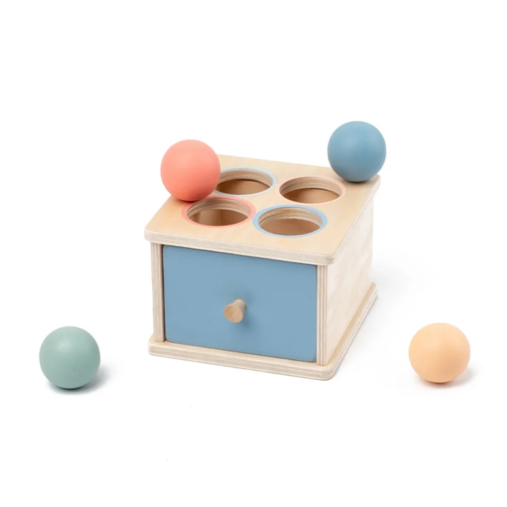 Houten Baby Object Permanente Box Kleur Cognitie Fijne Motoriek Montessori Houten Vorm Bijpassende Zintuiglijke Vroege Onderwijs Box
