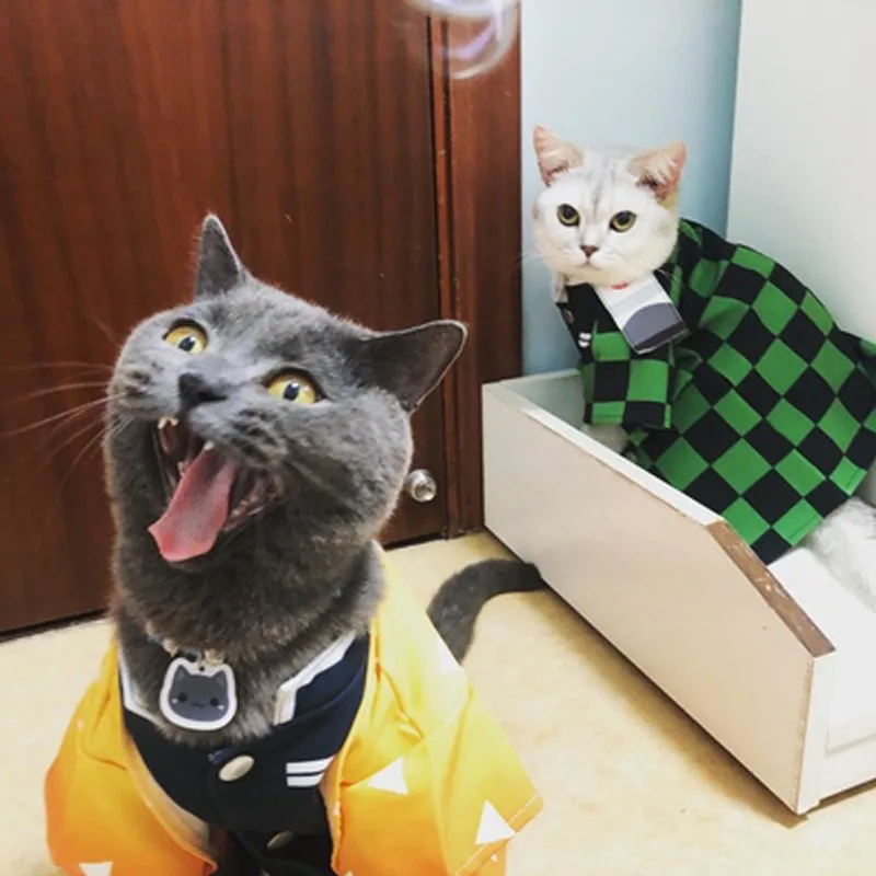 Anime japonés Demon Slay Kimetsu Yaiba gato y perro ropa para mascotas Cos Kochou Shinobu Nezuko Zouma Monzekoro Tomioka Giyuu