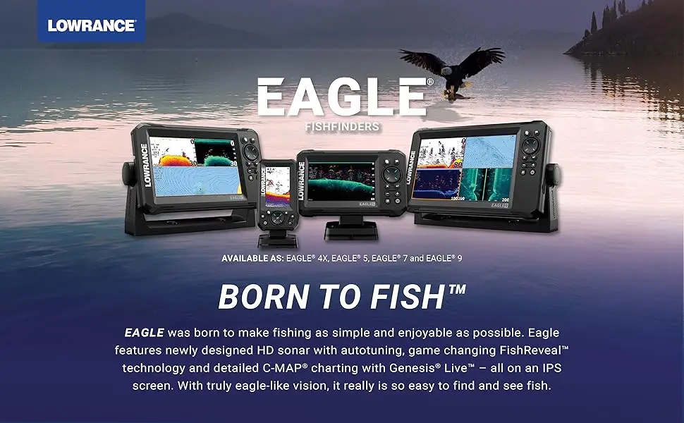 Eagle Born to Fish