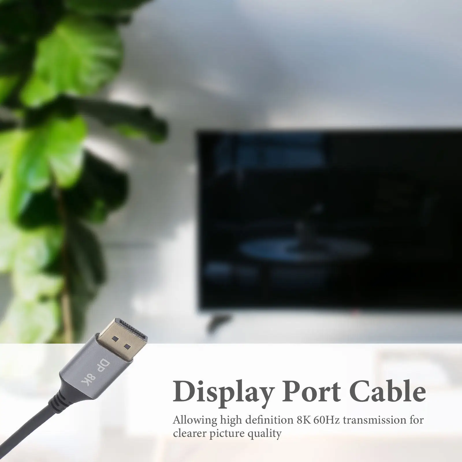 Display Port Cable …