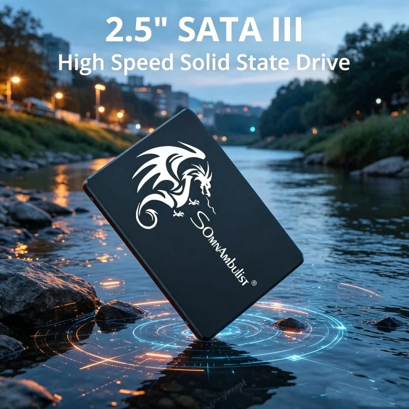 

Fine SomnAmbulist 2.5 Inch SATA3 SSD 120GB 240GB 480GB 960GB 128GB 256GB 512GB 1TB Expedite Internal Solid State Drive