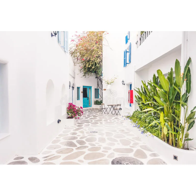 ZHISUXI Vinyl European Style Retro Street Seaside Scenery Wedding Photos Newborn and Pet Photography Background Props  DR-01