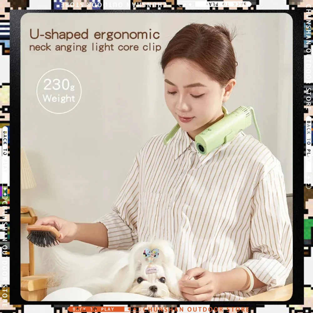 IN Stock Pet Grooming Hair Blower Special for Dogs High-Power Silent -Saving Dog Beauty Quick Drying Hair Only Suitable 220V